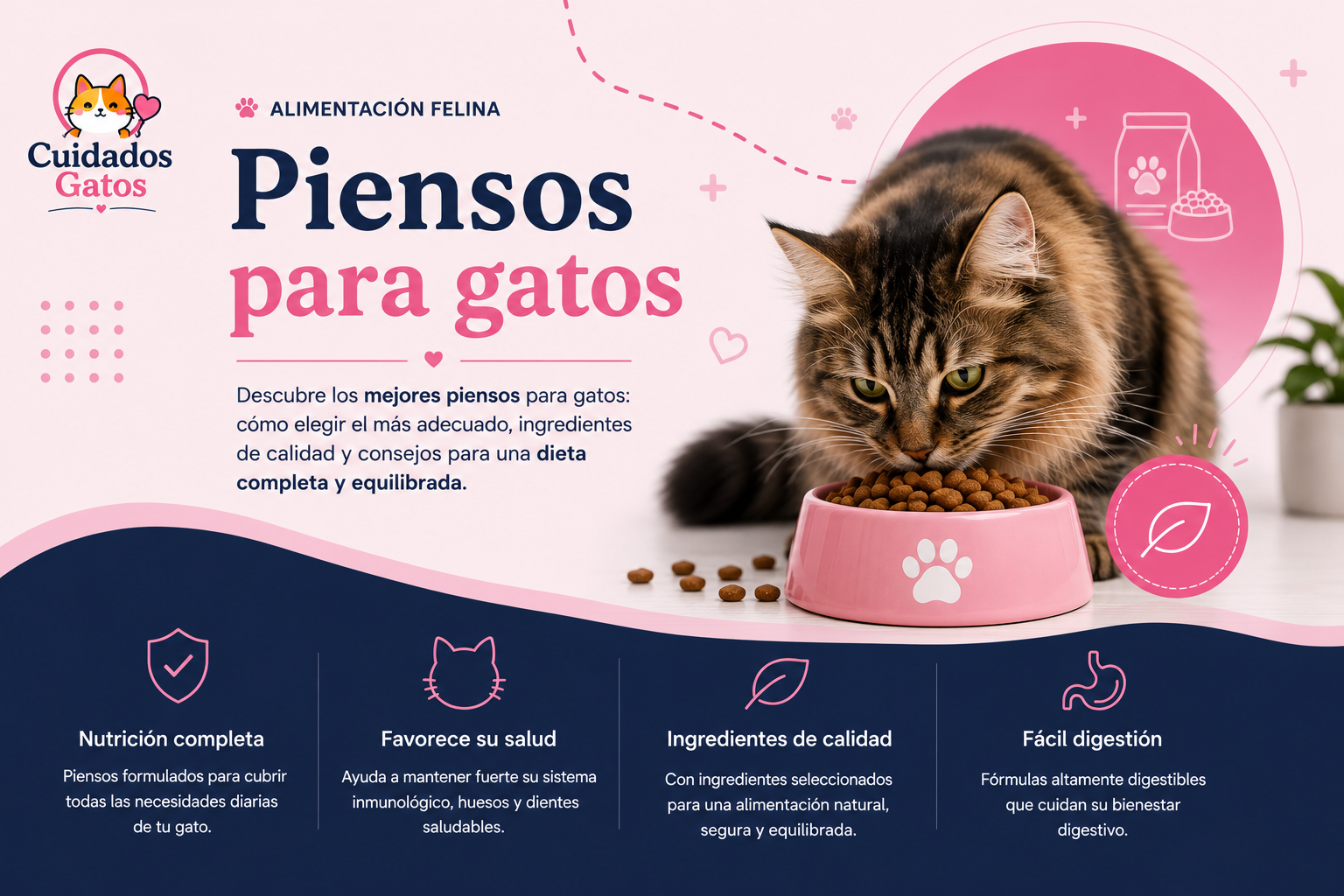 Piensos para gatos