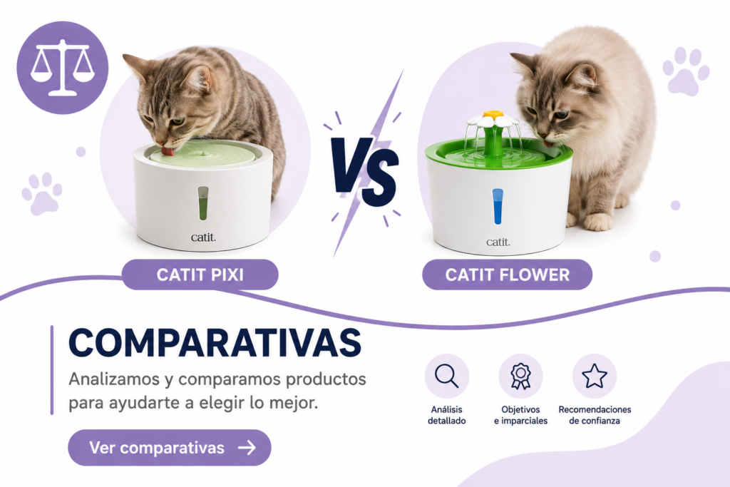 Comparativas Gatos