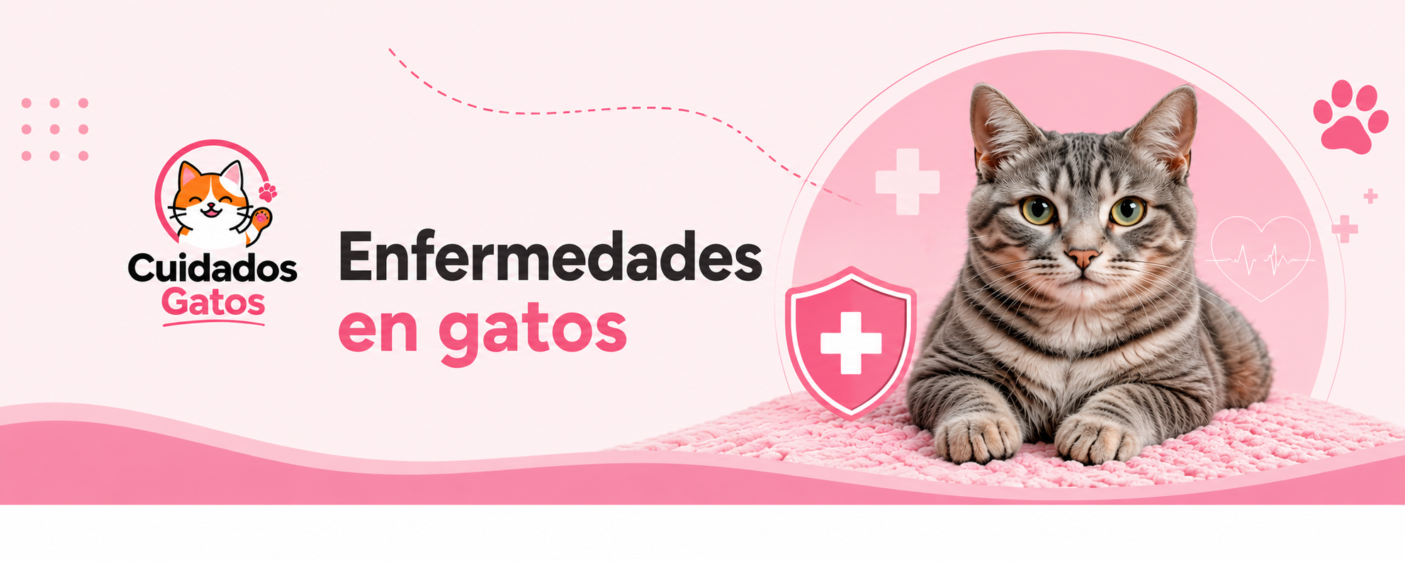 Cabecera enfermedades gatos