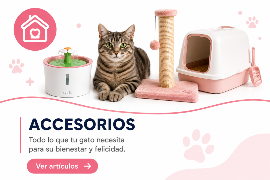 Accesorios para gatos